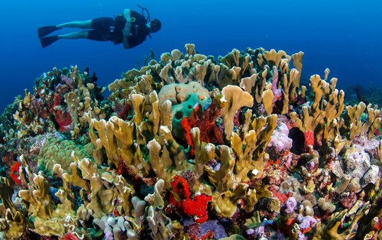 Aquaworld Cancun Reef